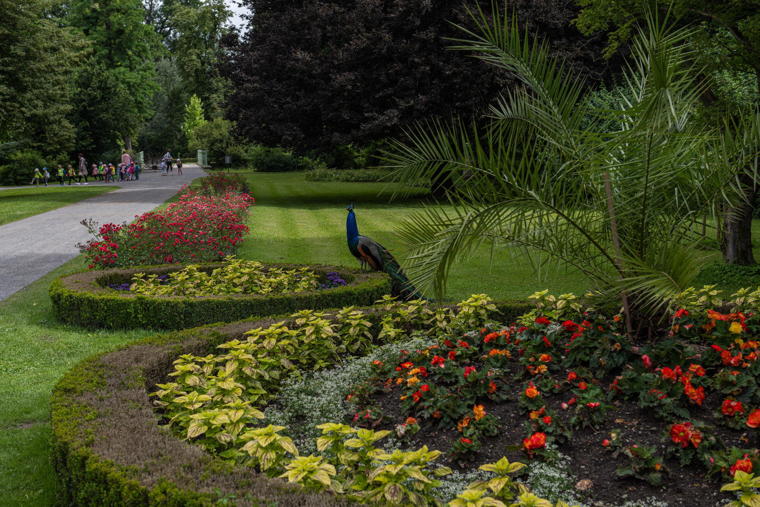 Podzámecká zahrada - 4