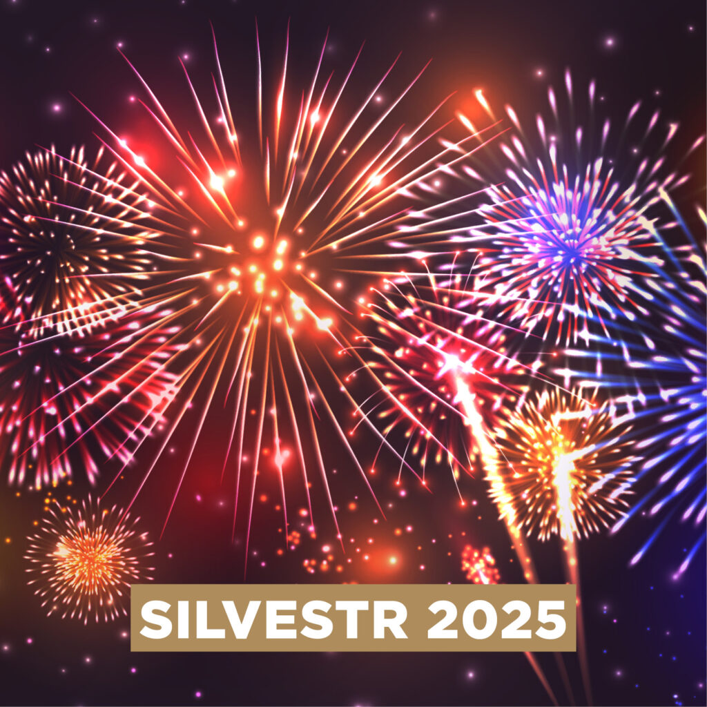 SILVESTR 2025 - 5