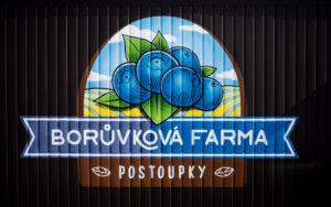 Borůvky z Postoupek - 1