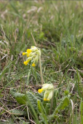 Ve znamení jara. Jarní prázdniny v Muzeu Kroměřížska - 1
