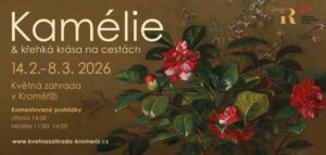 KAMÉLIE V KVĚTNÉ ZAHRADĚ 2026 - 1
