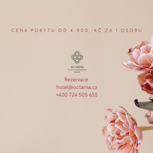 VALENTÝN V KROMĚŘÍŽI 2026 - 3