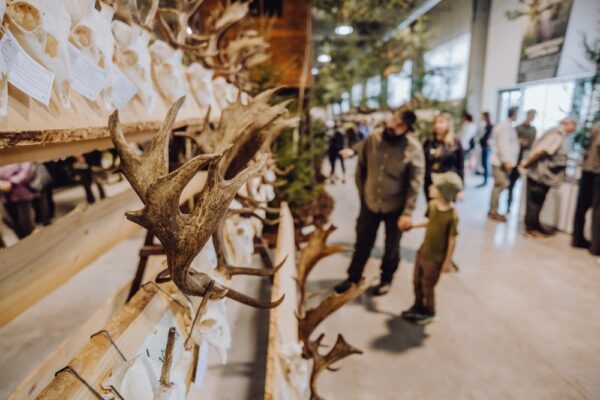 Myslivost a příroda - 1