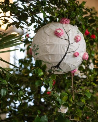 KAMÉLIE & KŘEHKÁ KRÁSA NA CESTÁCH - 1