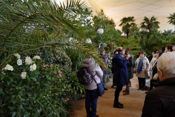 Komentované prohlídky výstavy Kamélie & křehká krása na cestách - 1