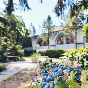 Pobytové balíčky - 4