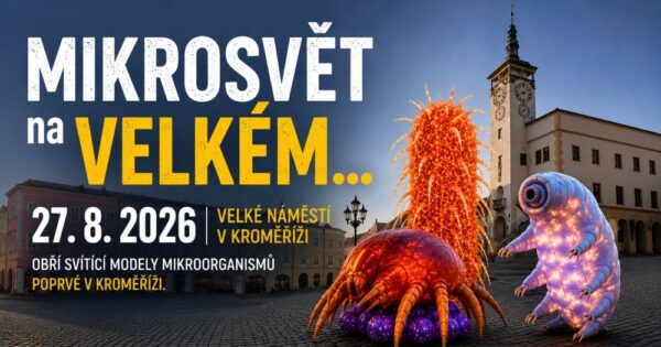 Mikrosvět na Velkém... - 1
