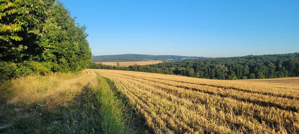 Lhota u Pačlavic - 6