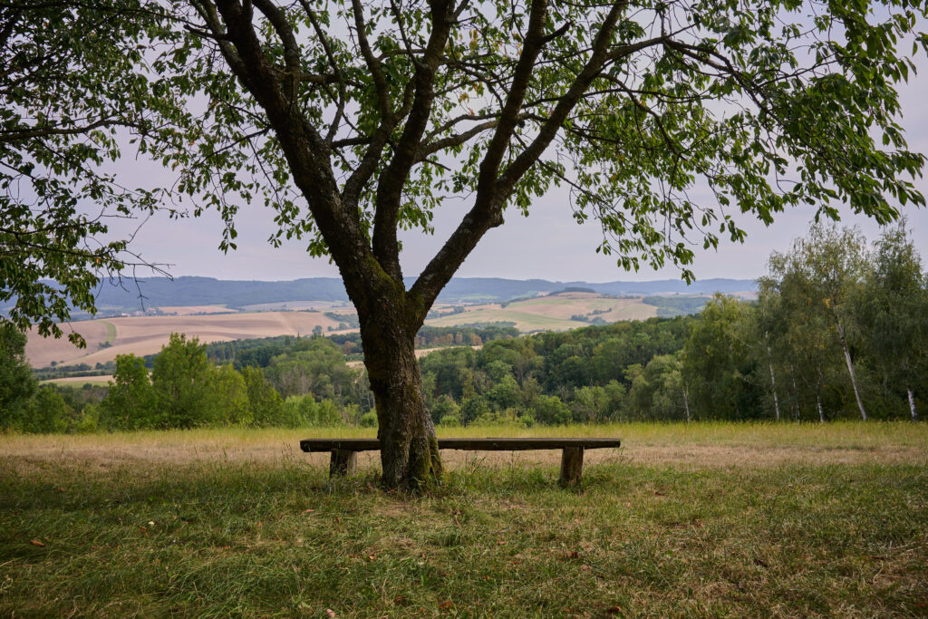 Kaštanová vycházka - 1
